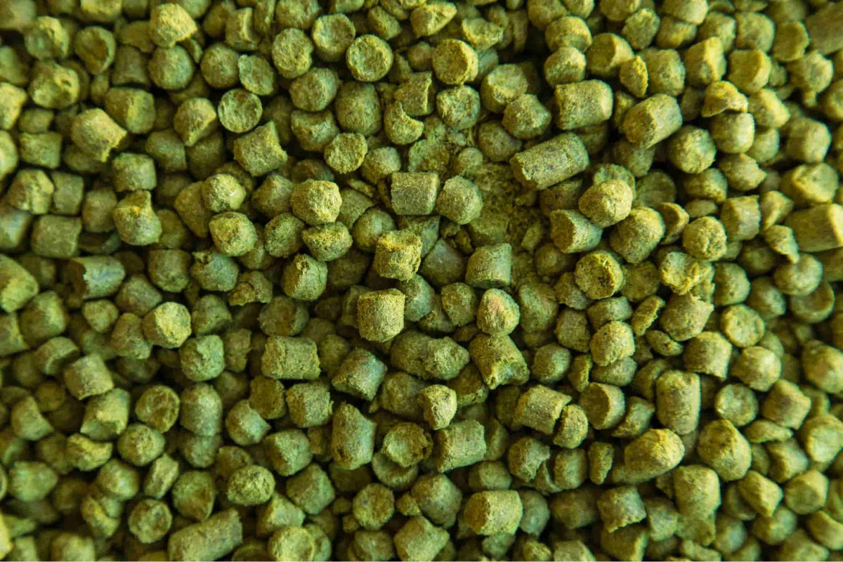 Ølbrygging og humle