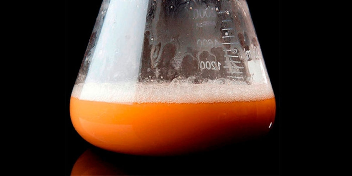 Bruk av fersk gjær og gjærstarter