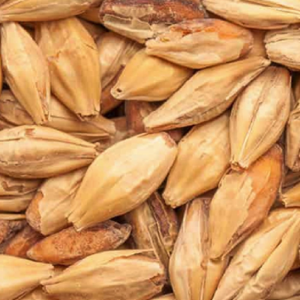 BEST Caramel Hell (20-40 EBC) 100G - Bestmalz