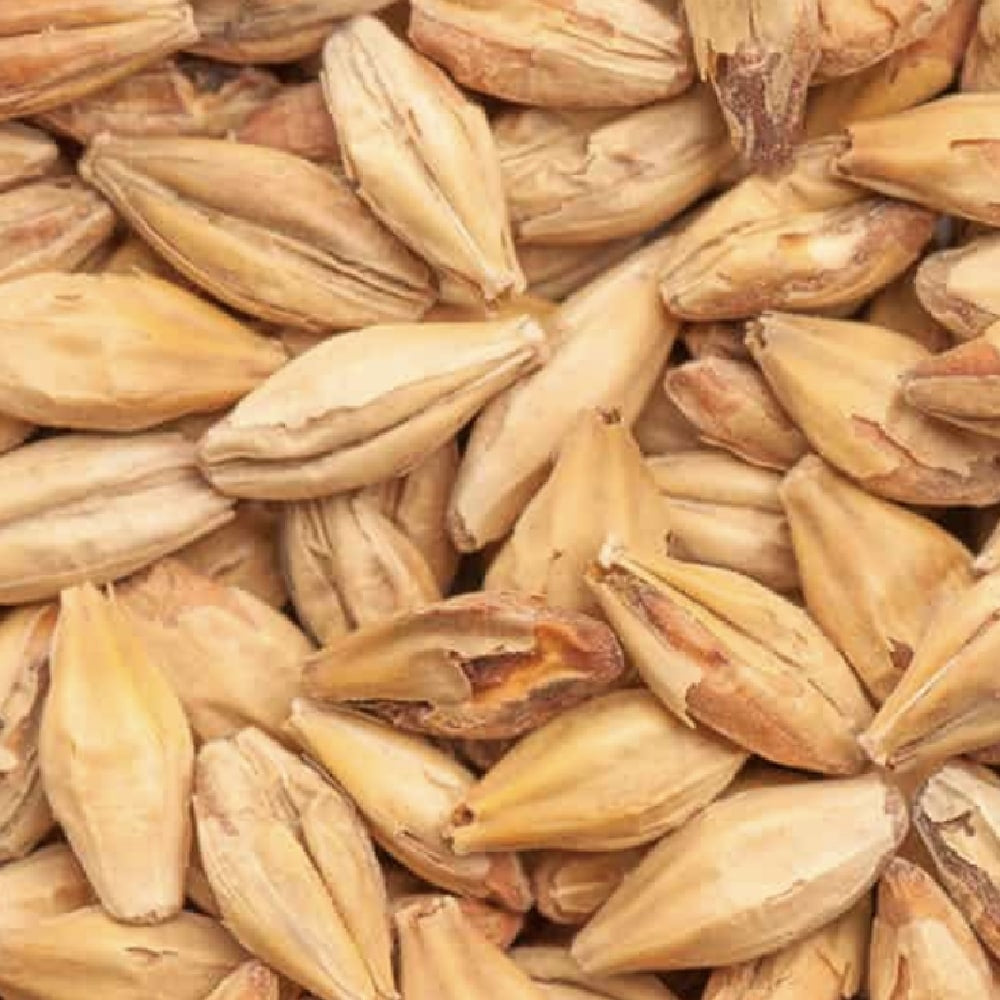 BEST Melanoidin (61-80 EBC) 100G - Bestmalz