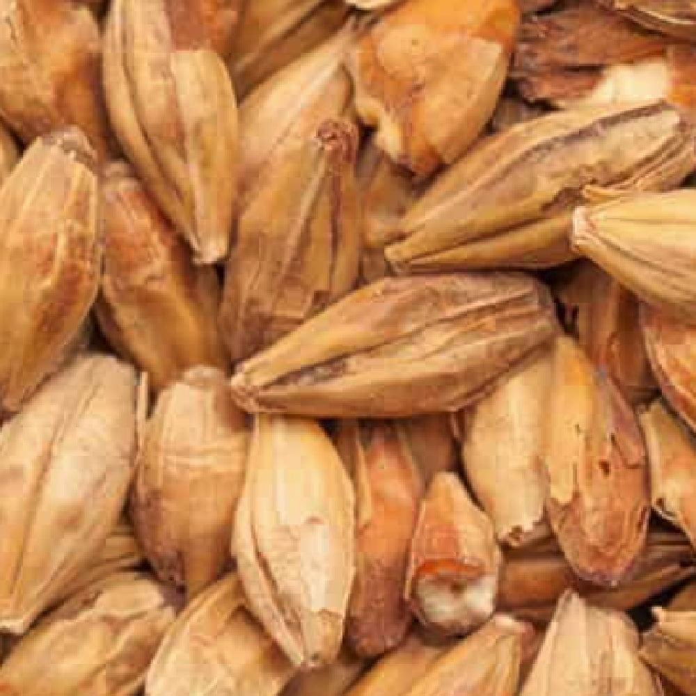 BEST Caramel Munich II (110-130 EBC) 100G - Bestmalz