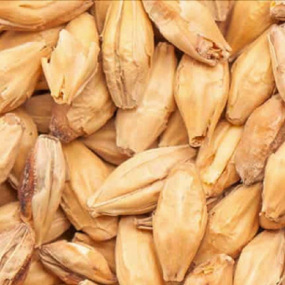 BEST Vienna Malt (8-10 EBC) 100G - Bestmalz