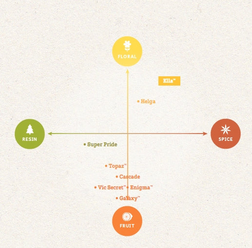 Enigma 100G Humle Pellets (17.9%) 2023