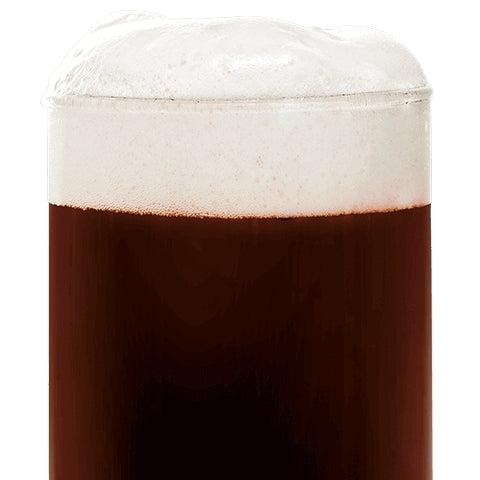 BEST Special X Malt (300-400 EBC) 100g - Bestmalz