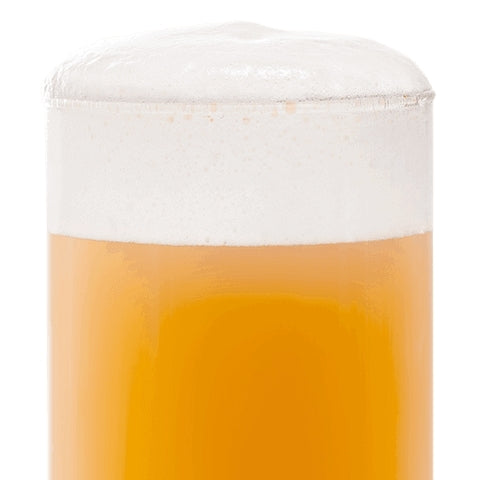 BEST Chit Malt (2-3 EBC) 100G - Bestmalz