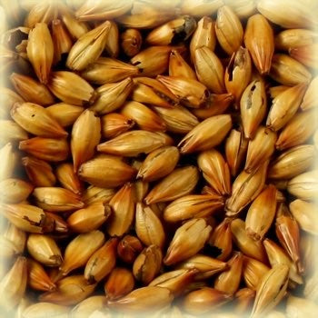 Cara Ruby Malt (50 EBC) 100G - Castle Malting