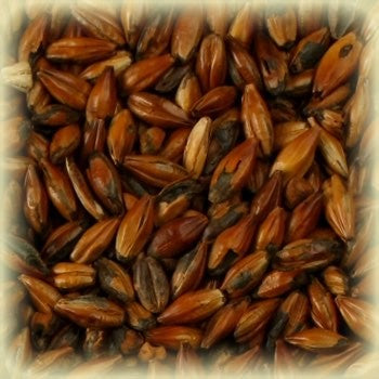 Cafe Light Malt (250 EBC) 100G - Castle Malting