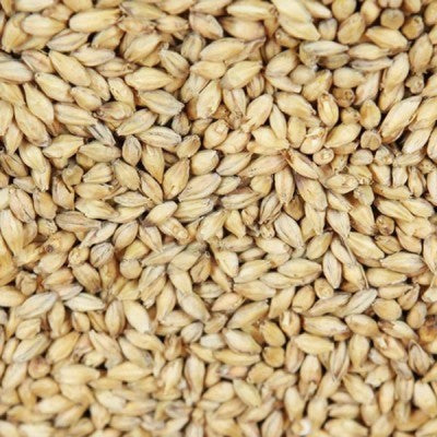 Bohemian Pilsner (3-5 EBC) 100G - Weyermann