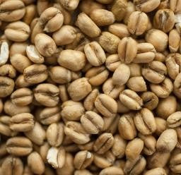 Torrefied Wheat (3-4,5 EBC) 100G - Thomas Fawcett