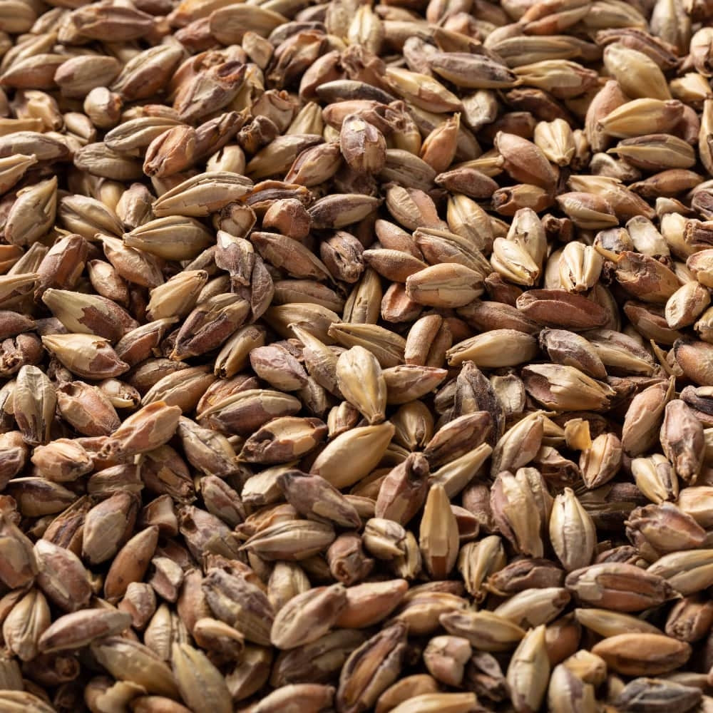 Victory Malt (55 EBC) 100g - Briess