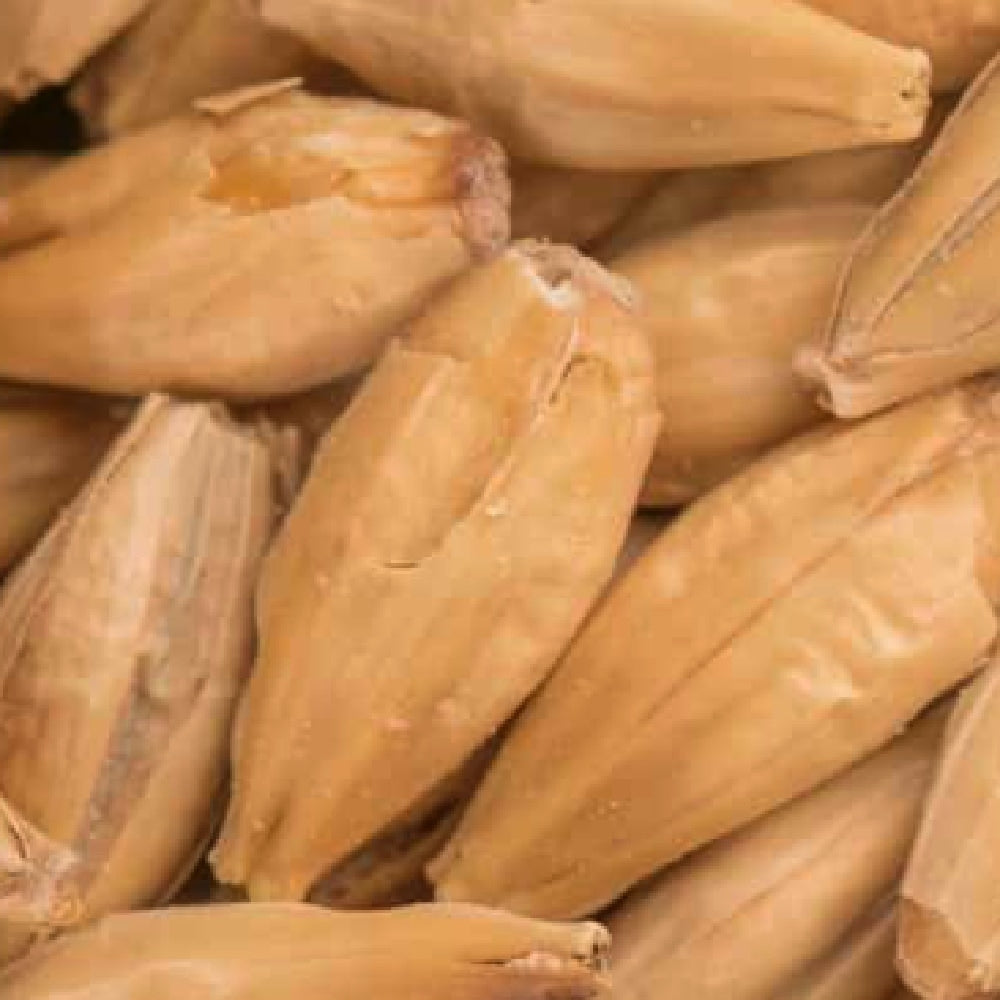 BEST A-XL (2,8-4,0 EBC) 100G - Bestmalz