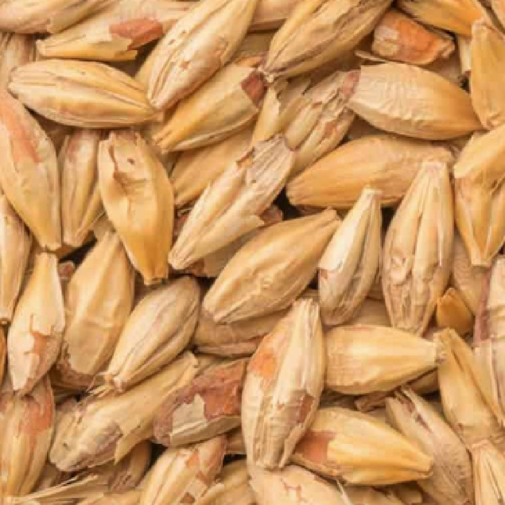 BEST Biscuit Malt (45-55 EBC) 100G - Bestmalz