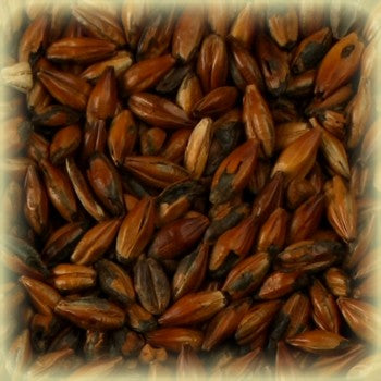 Cafe Malt (500 EBC) 100G - Castle Malting