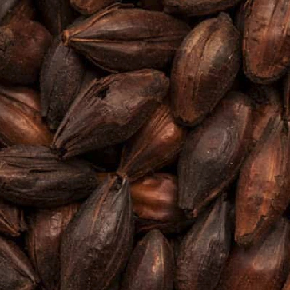 BEST Black Malt eXtra (1300-1400 EBC) 100G - Bestmalz