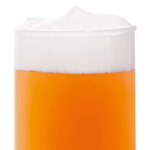 BEST Acid Malt (3,0-8,0 EBC) 100g - Bestmalz