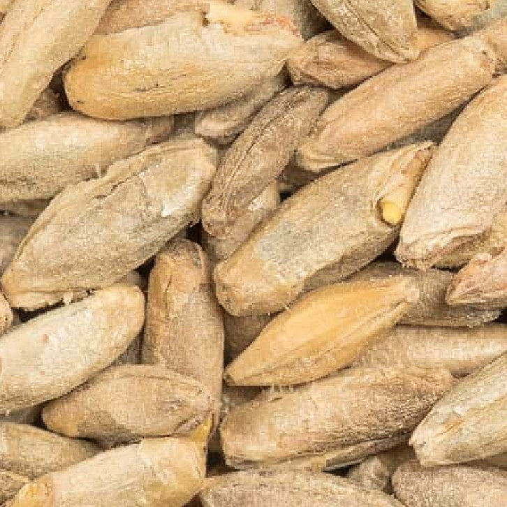 BEST Rye Malt (Rug malt, 5-10 EBC) 100g - Bestmalz