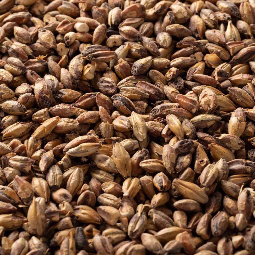 Special Roast Malt (79 EBC) 100g - Briess