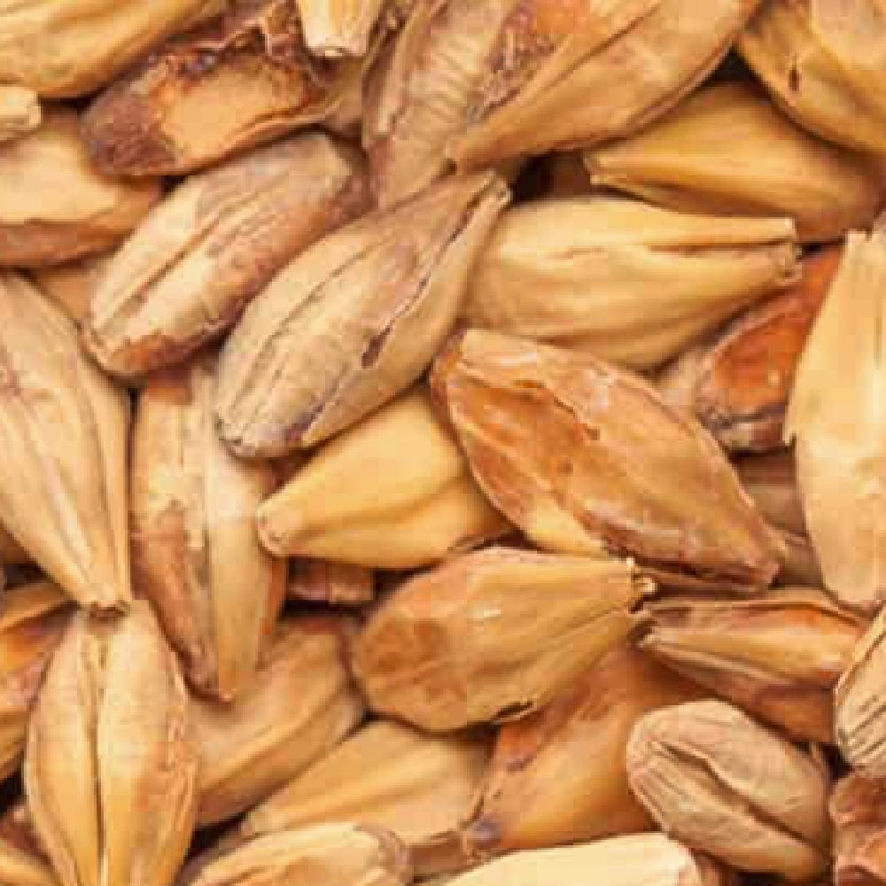 BEST Caramel Aromatic (41-60 EBC) 100G - Bestmalz