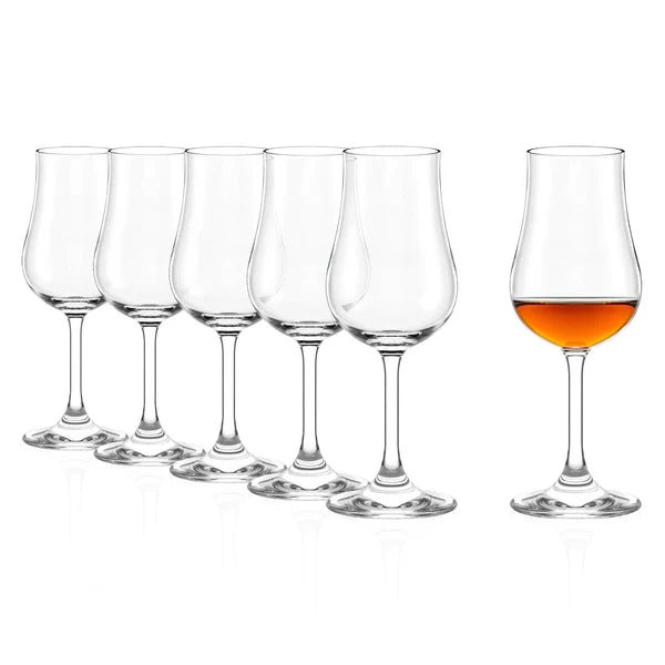 Tulipanglass Classic 185 ml 6 stk - Stölzle Lausits