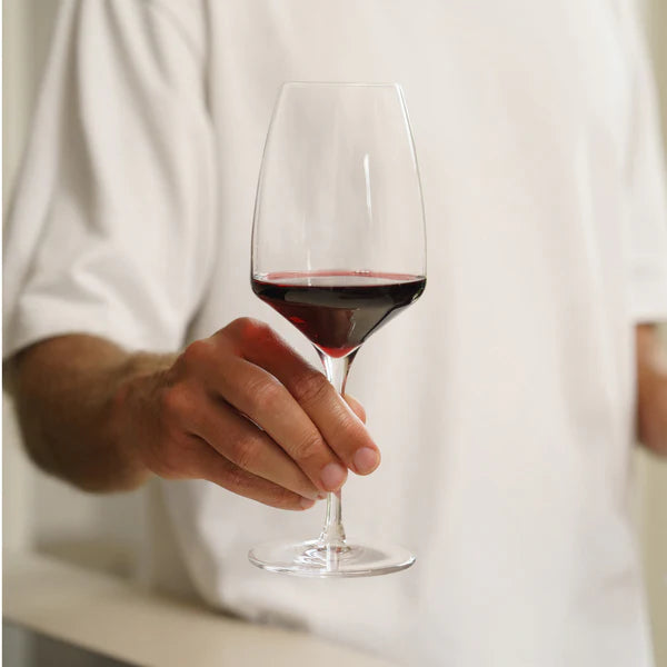 Experience Red Wine vinglass 450ml 6 stk - Stölzle Lausits