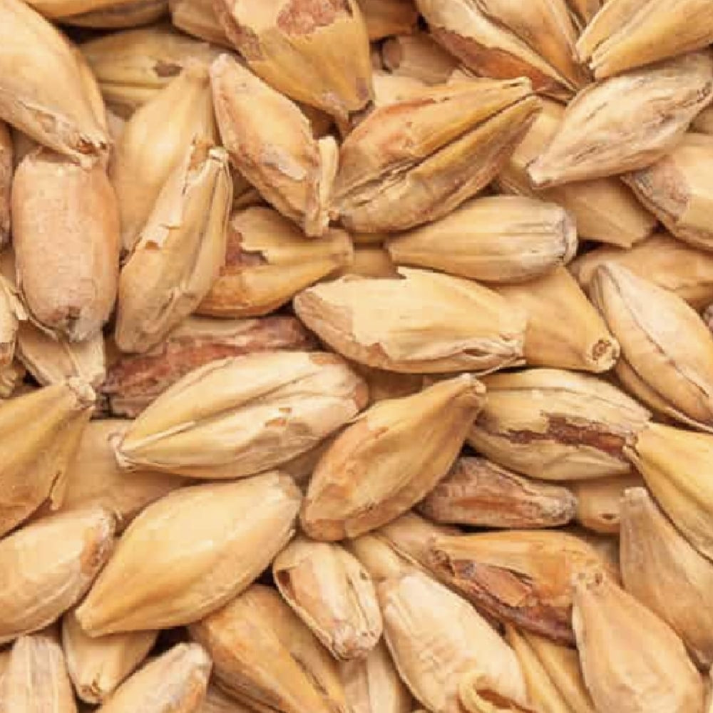 BEST Melanoidin Light (40-60 EBC) 100G - Bestmalz