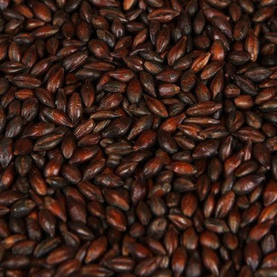 Carafa Special Type 1 (800-1000 EBC) 100G - Weyermann