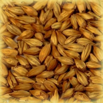 Cara Gold Malt (120 EBC) 100G - Castle Malting