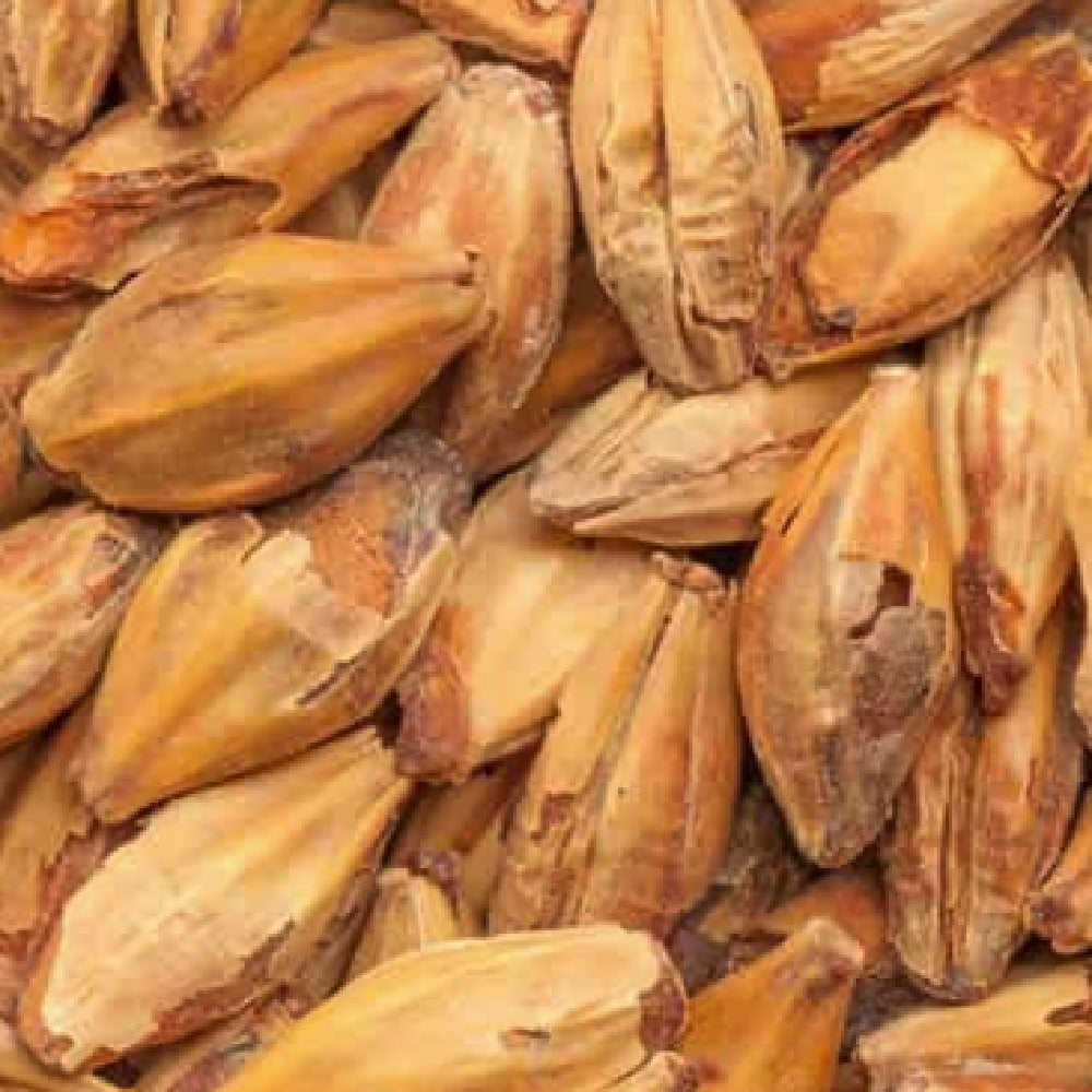 BEST Caramel Munich III (131-200 EBC) 100G - Bestmalz