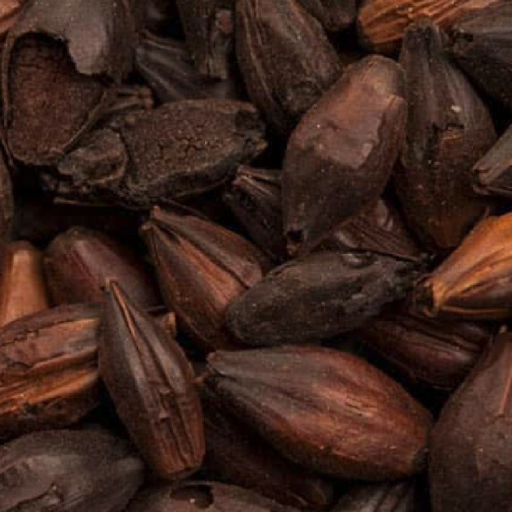 BEST Black Malt (1100-1200 EBC) 100G - Bestmalz