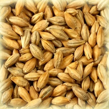 Peated Malt (4 EBC) 100G - Castle Malting