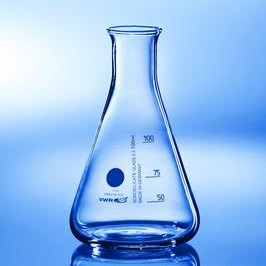 Erlenmeyerkolbe 250 ml