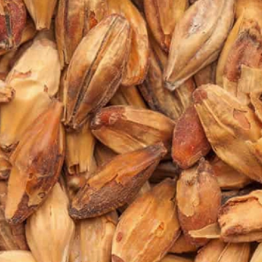 BEST Caramel Munich I (81-100 EBC) 100G - Bestmalz