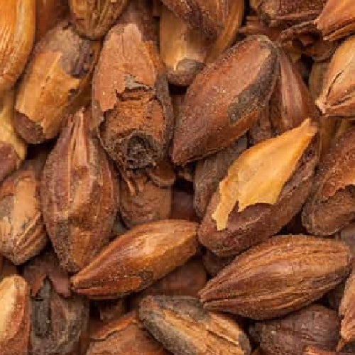 BEST Special X Malt (300-400 EBC) 100g - Bestmalz