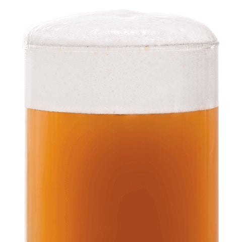 BEST Biscuit Malt (45-55 EBC) 100G - Bestmalz