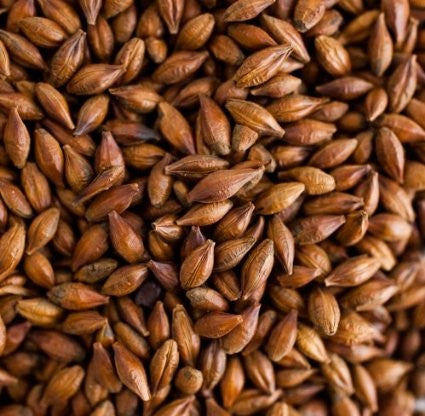 Brown Malt (175-200 EBC) 100G - Thomas Fawcett