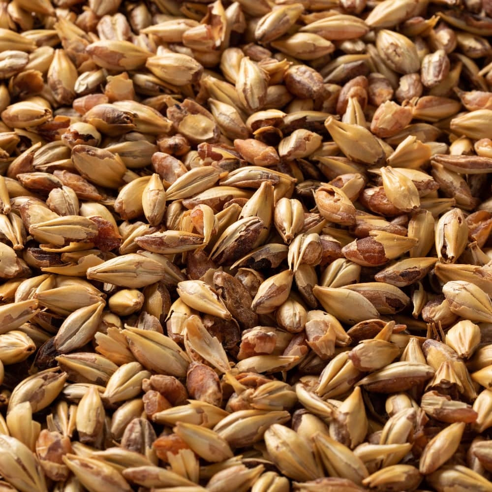 American Honey Malt (49 EBC) 100g - Briess