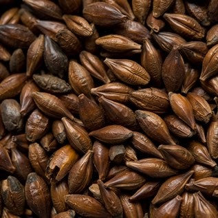 Pale Chocolate Malt (560-690 EBC) 100G - Thomas Fawcett