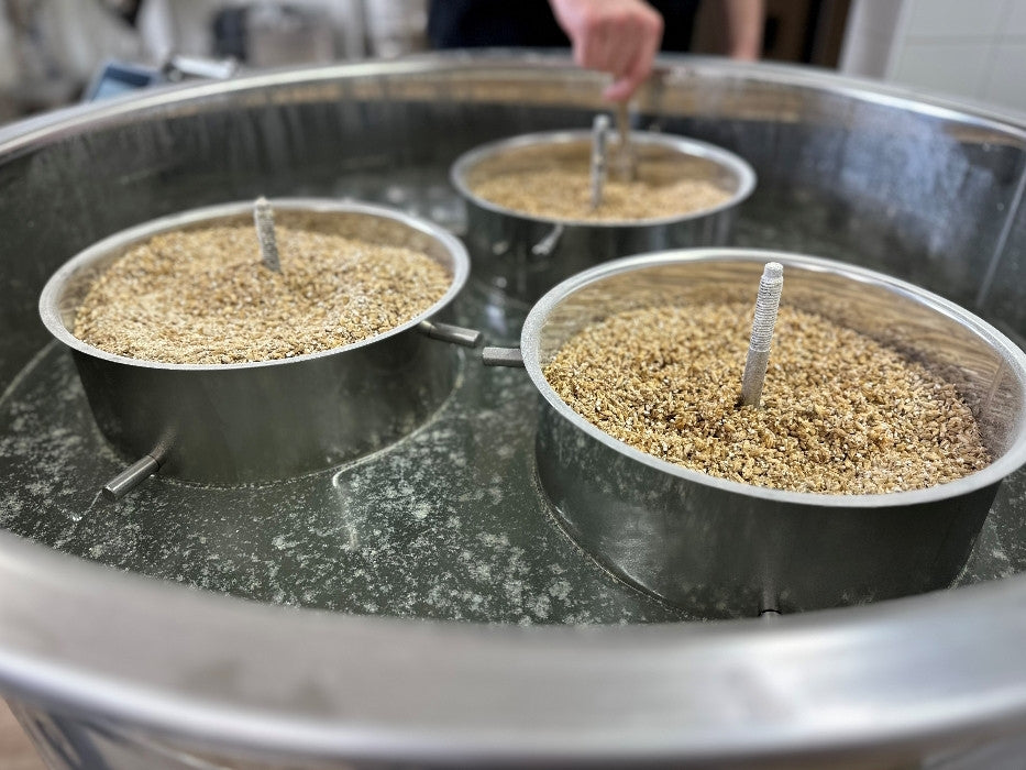 Speidel #Braumeister 100L - Bestillingsvare