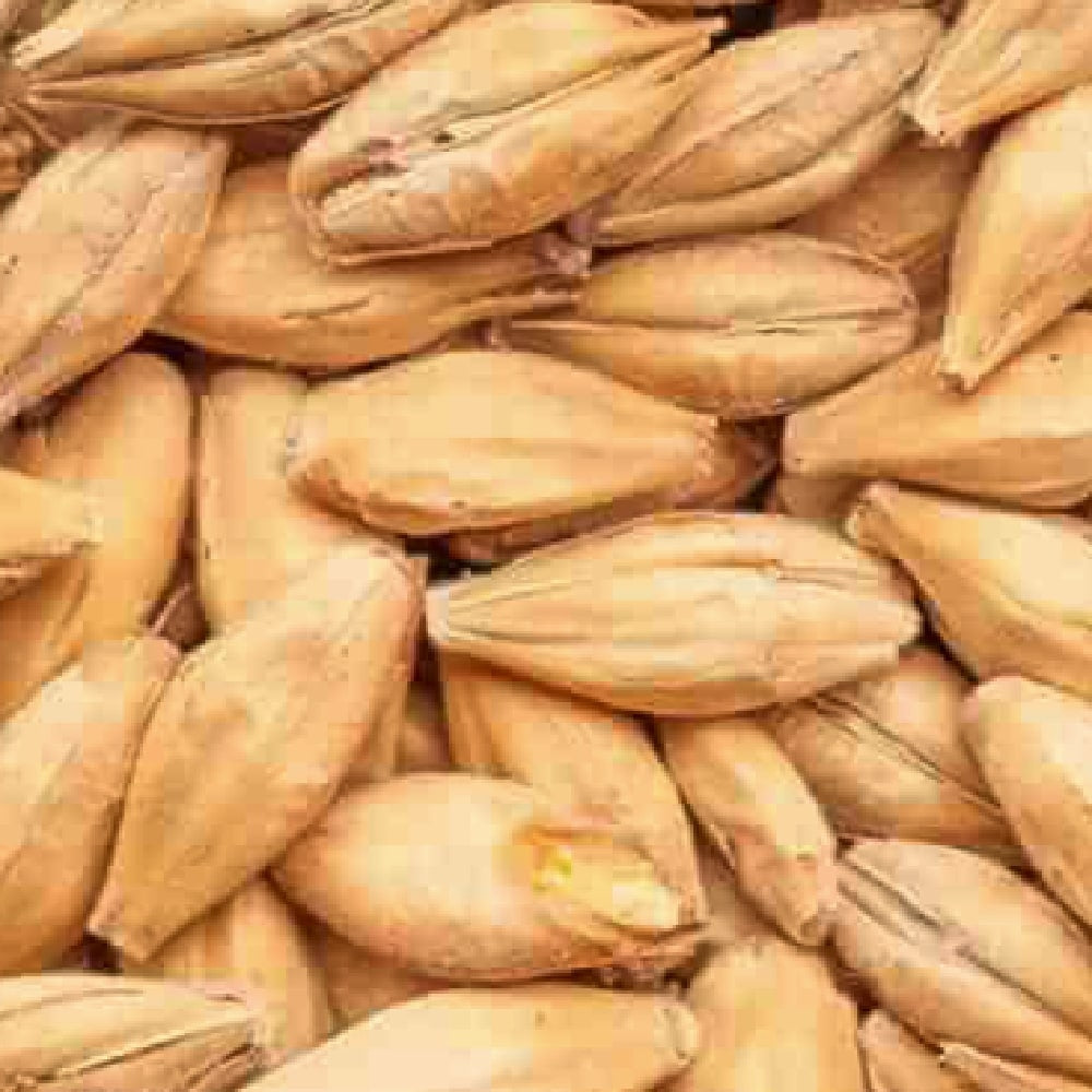 BEST Caramel Pils (3-7 EBC) 100G - Bestmalz