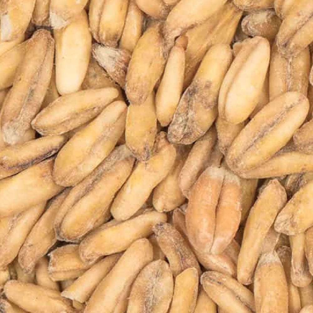 BEST Oat (Havre) Malt (3-8 EBC) 100G - Bestmalz