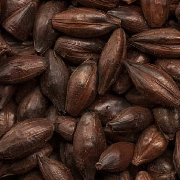 BEST Roasted Barley Malt (1200-1400 EBC) 100G - Bestmalz