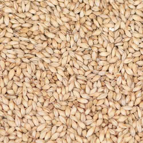 Maris Otter Pale Ale Malt (5-7,5 EBC) 100G - Thomas Fawcett