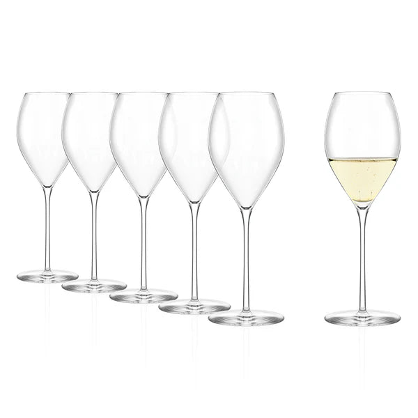 Fino Champagne Glass 425 ml 6 stk - Stölzle Lausits
