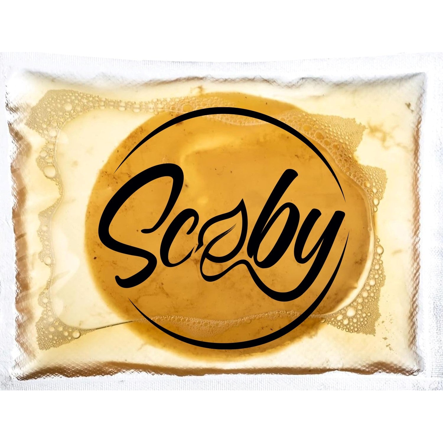 Scoby - kultur for Kombucha (diameter 12 cm)