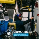 Amarillo 25g Cryo Hops (17,5%) thumbnail