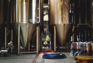 Brixton Brewery Coldharbour Lager - allgrain ølsett (Nyhet!) thumbnail