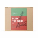 Pliny the Clone - Double IPA- allgrain ølsett thumbnail
