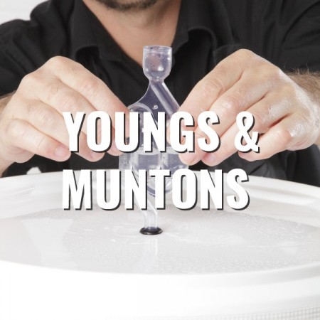 Youngs & Muntons