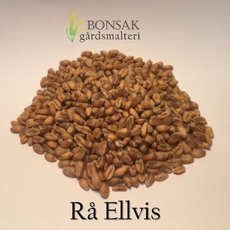 RÅ Ellvis - Umaltet hvete (4-5 EBC) 100G - Bonsak Gårdsmalteri