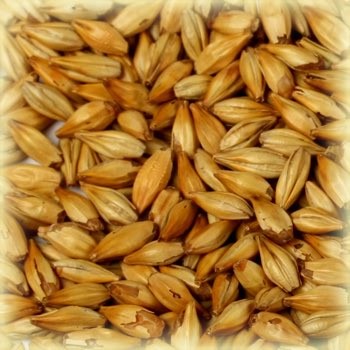 Cara Blond Malt (20 EBC) 100G - Castle Malting